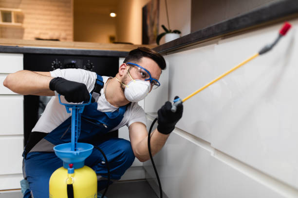 Best Residential Pest Control  in Pierce, CO