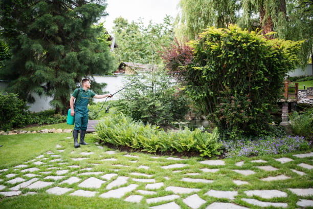 Wasp Removal Services in Pierce, CO