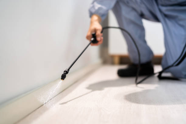 Pest Control Cost in Pierce, CO