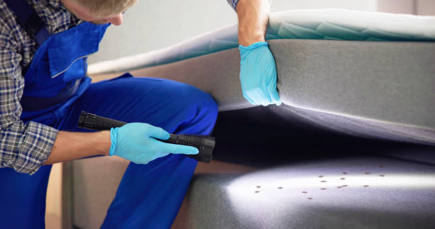 Best Pest Control for Businesses  in Pierce, CO