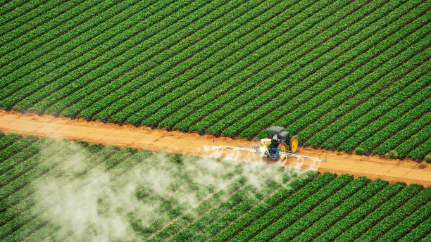 Professional Pest Control in Pierce, CO